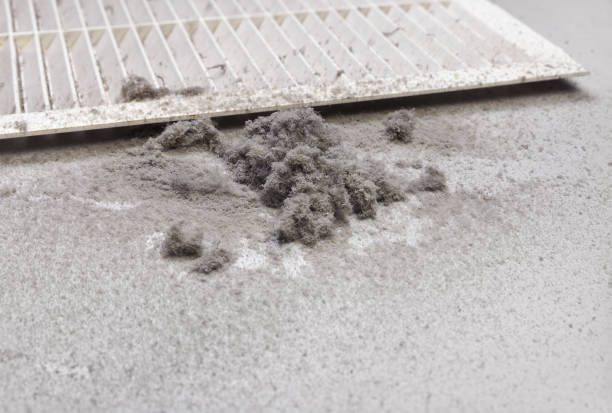 Best Air Duct Sanitizing Services  in Sunflower, MS