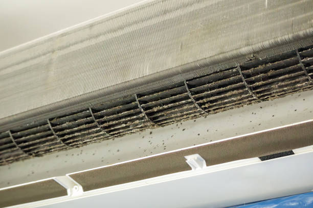 Best Air Duct Cleaning Cost  in Sunflower, MS